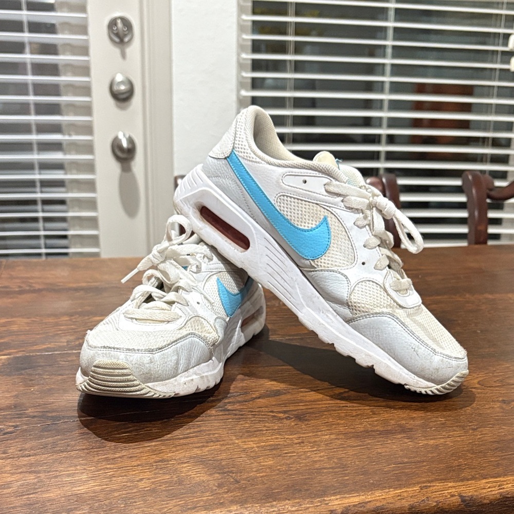 Nike air max sneakers